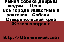 Умная собака добрым людям. › Цена ­ 100 - Все города Животные и растения » Собаки   . Ставропольский край,Железноводск г.